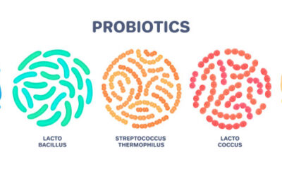 Kids probiotics vs adult probiotics: Differences & Dosage