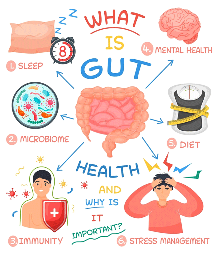 diet and gut health